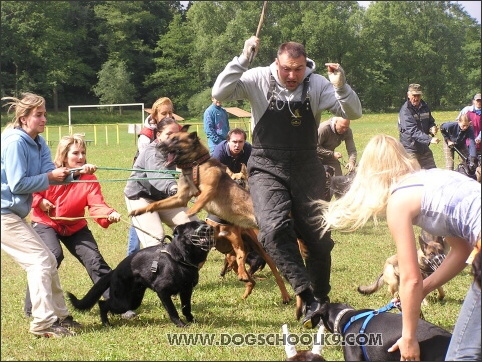 Training camp - Lukova 2007